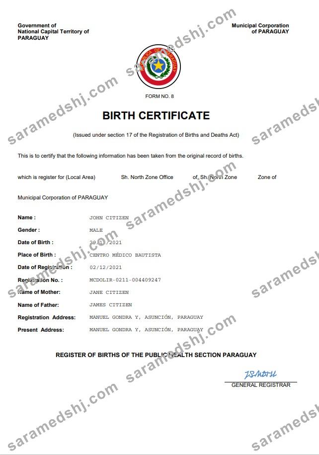 Paraguay birth certificate Word and PDF template